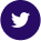 twitter-icon